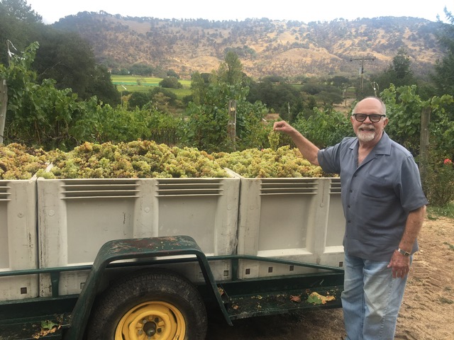 An older man with glasses and a beard, smiling and pointing at a trailer loaded with grapes, with the assistance of a child, as they stand in front of a vineyard with hills in the background