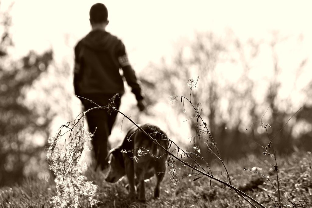 dog and boy walking in the woods